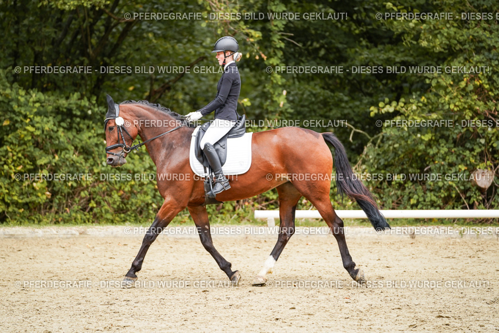 DSC00368 | Pferdegrafie