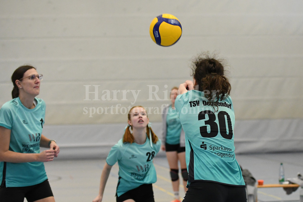 TSV Deggendorf Damen  : FC Ruderting | TSV Deggendorf Damen Volleyball - Realisiert mit Pictrs.com