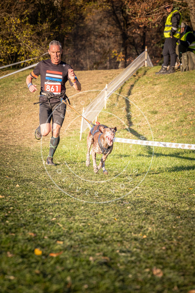 CaniXpix_0L8A0943 | Hundefotografie, Tierfotograf, Pfotenfotografie, Fotoshooting Hund, Hunde Portrait, Hundesport, Hundeportraits, Heideshooting, Hunde, Sportfotograf, Hundefotograf, Turnierhundsport, THS,  - Realisiert mit Pictrs.com
