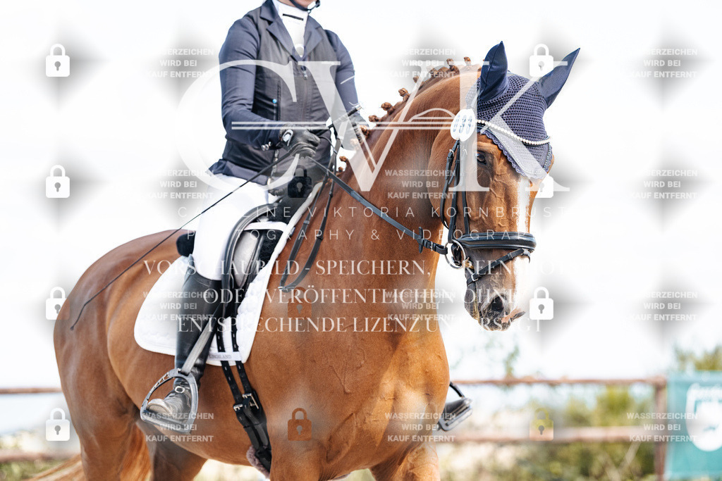 CK902462 | Turnierfotografie Pferdefotografie Trier Rheinland-Pfalz Pferdesport Reitsport Tierfotografie Sportfotografie Pferdevideo Pferdevideografie Equestrianvideography equestrianphotography  - Realisiert mit Pictrs.com
