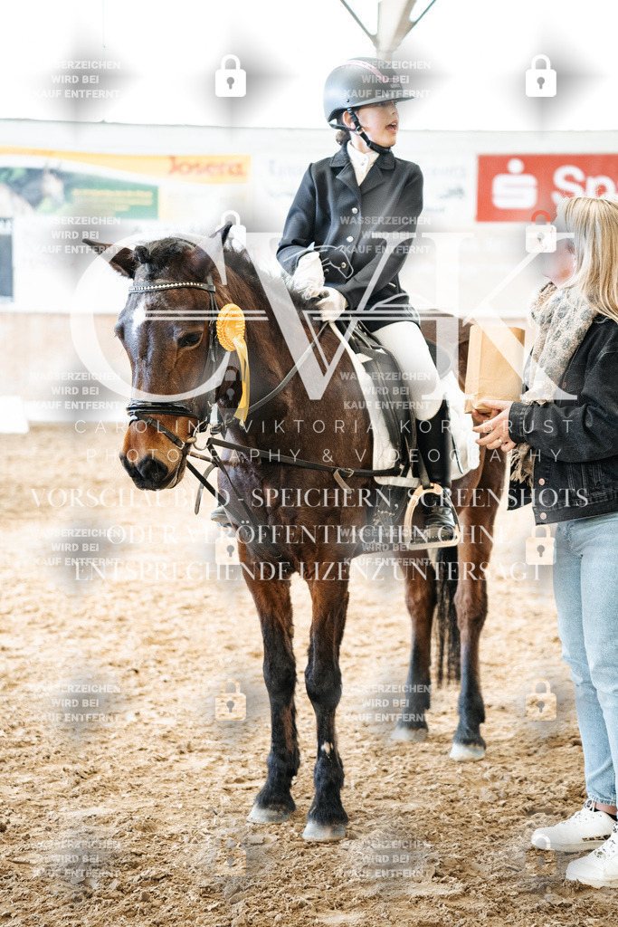 CK703114 | Turnierfotografie Pferdefotografie Trier Rheinland-Pfalz Pferdesport Reitsport Tierfotografie Sportfotografie Pferdevideo Pferdevideografie Equestrianvideography equestrianphotography  - Realisiert mit Pictrs.com