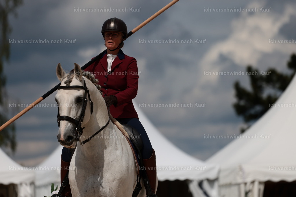 PI26_ST_StoibphotographyC2_L8366.JPG | working equitationturnier fotograf videograf stoibphotography marixx film working equitation deutschland reitsport turnierfotografie eventfotografie equestrian events