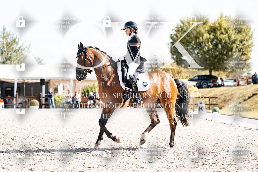 CK902705 | Turnierfotografie Pferdefotografie Trier Rheinland-Pfalz Pferdesport Reitsport Tierfotografie Sportfotografie Pferdevideo Pferdevideografie Equestrianvideography equestrianphotography  - Realisiert mit Pictrs.com