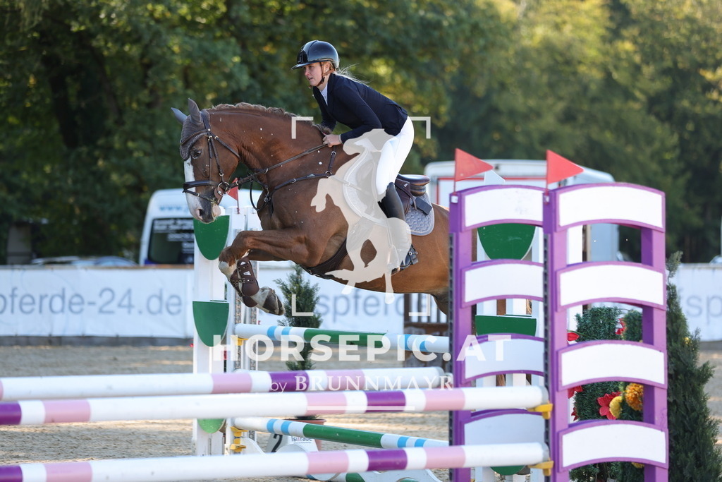 0P6A0332 | Willkommen bei Brunnmayr - Design & Fotografie – Ihrem Spezialisten für Reitturniere und Pferdeveranstaltungen in Oberösterreich, Salzburg und Bayern! Seit über 17 Jahren sind wir leidenschaftlich dabei.