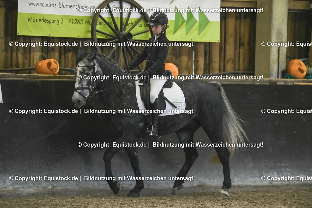03_Reiter-WB_0198 | Foto: Thomas Hartig