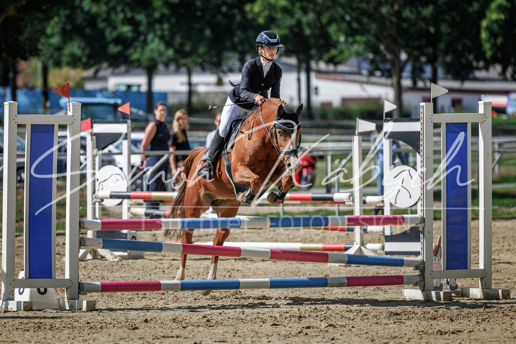 20260905-_3LI9391 | Tierfotografie Pferde, Hunde, Katzen, Haustiere.
Turnierfotografie Reitturniere, Reiten, Springreiten, Dressur in Hanau, dem Main-Kinzig-Kreis und dem Rhein-Main- Gebiet um Frankfurt