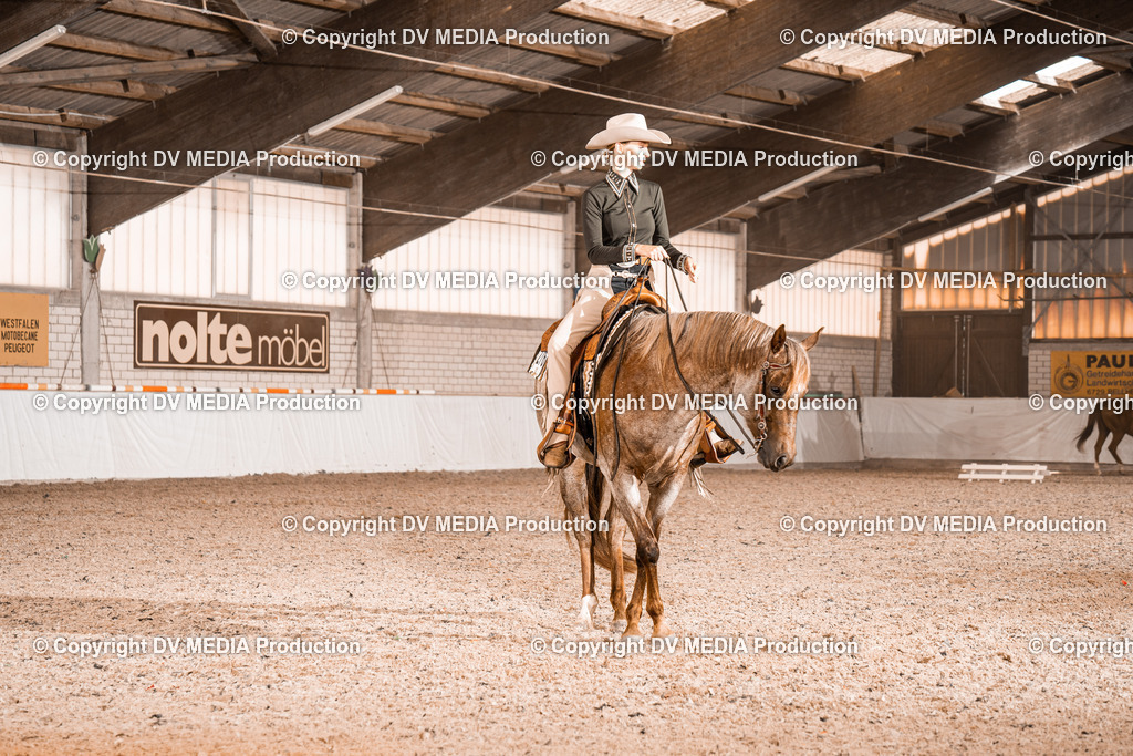 ZH100902 | dv-media-shop - Realisiert mit Pictrs.com