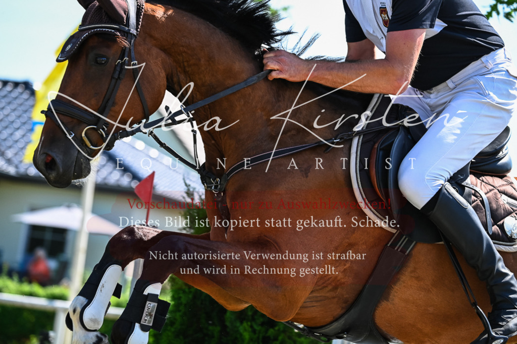 DSC_1297 | Pferde- und Turnierfotografie in Westsachsen. Pferdeportraits, Auftragszeichnungen und intuitive Kunst.