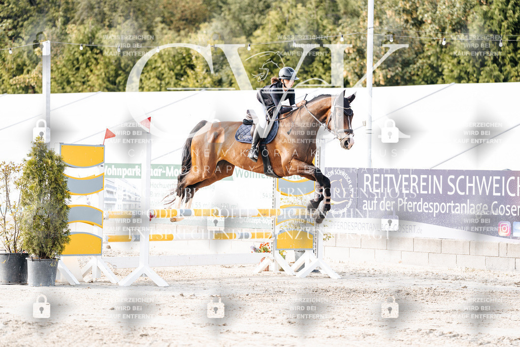 CK906373 | Turnierfotografie Pferdefotografie Trier Rheinland-Pfalz Pferdesport Reitsport Tierfotografie Sportfotografie Pferdevideo Pferdevideografie Equestrianvideography equestrianphotography  - Realisiert mit Pictrs.com