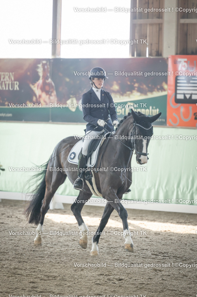 _D5A0653 | Emotionale Pferde- & People-Fotografie rund um Heidelberg, Leimen & Umgebung. Natürliche Fotos von Pferd, Mensch & Familie. Jetzt Termin sichern!