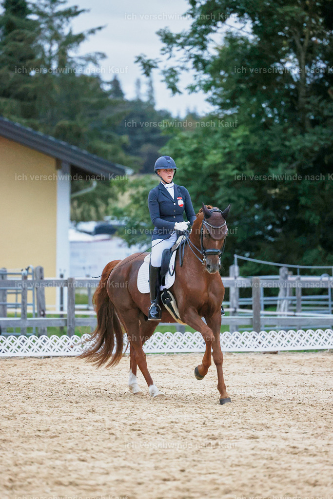 04_2-227-Dressur M__ -StoibPH-3011 | working equitationturnier fotograf videograf stoibphotography marixx film working equitation deutschland reitsport turnierfotografie eventfotografie equestrian events