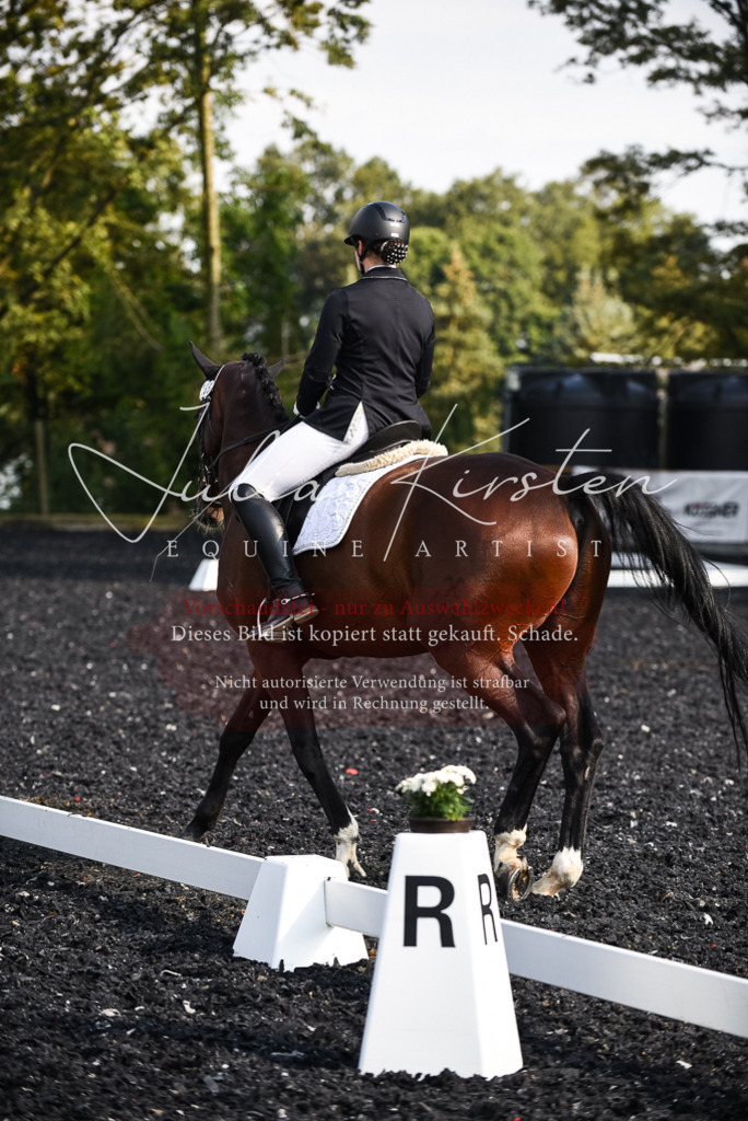 DSC_3205 | Pferde- und Turnierfotografie in Westsachsen. Pferdeportraits, Auftragszeichnungen und intuitive Kunst.