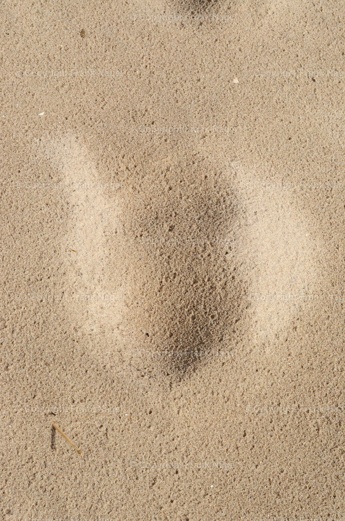 Fußspuren im Sand | Fußspuren - Realisiert mit Pictrs.com