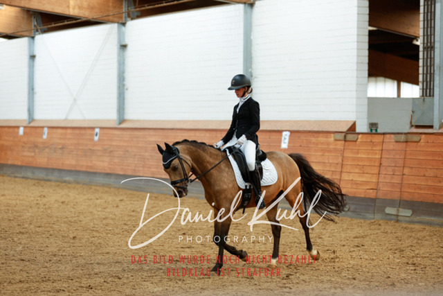 _62_4688 | Turniersportfotografie; Pferdefotografie; Dressurfotografie