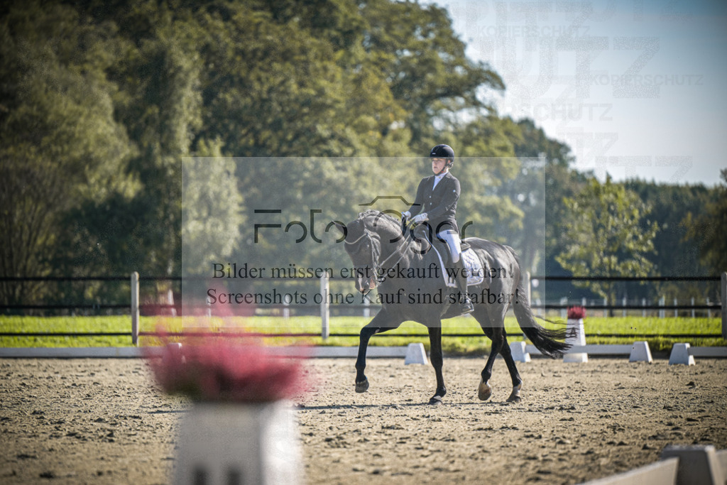 DOS_2120 | Entdecke hochwertige Reitturnierfotos von Foto Oger. Professionell, emotional und authentisch – jetzt Lieblingsmomente im Shop bestellen.Deutschlandweite Turnierfotografie. - Realisiert mit Pictrs.com