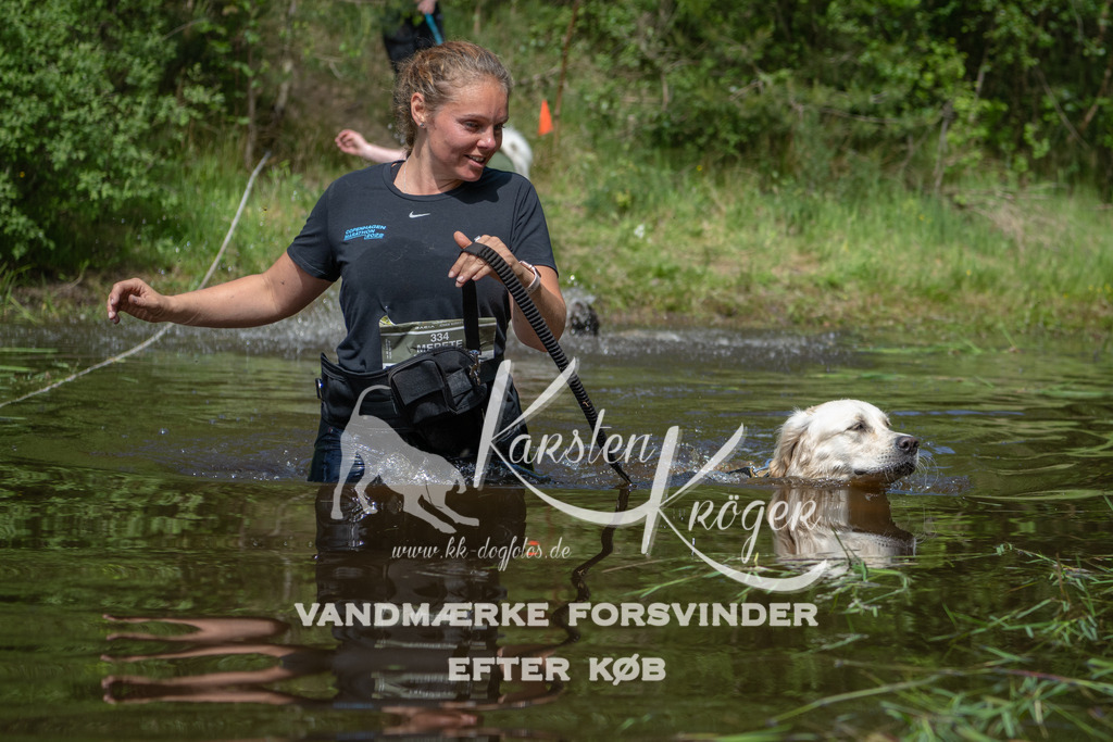 1139DKK990729 | kk-dogfotos