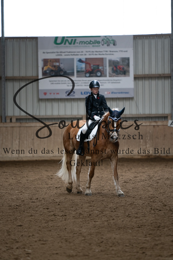 A7V04955 | Pferdefotograf