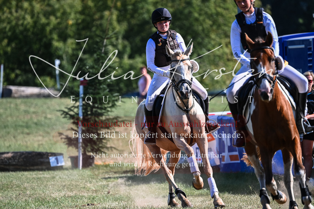 DSC_7036 | Pferde- und Turnierfotografie in Westsachsen. Pferdeportraits, Auftragszeichnungen und intuitive Kunst.