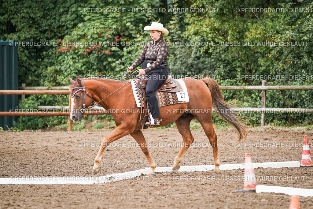 DSC04009 | Pferdegrafie