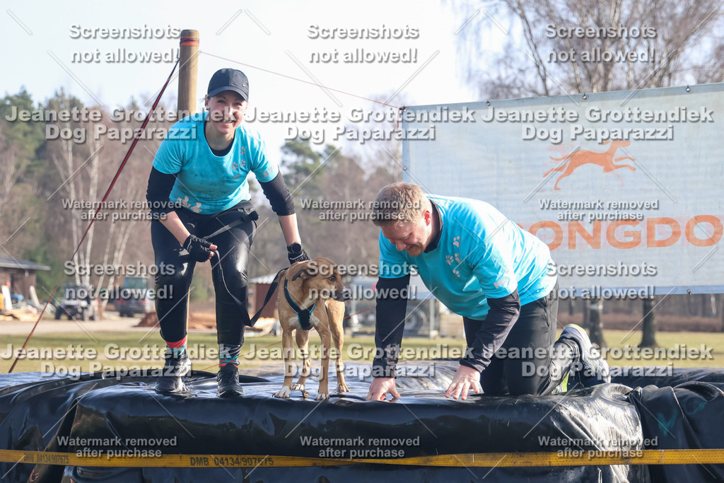 Dog Paparazzi - Strongdog North Mrz26-665 | Dog Paparazzi Jeanette Grottendiek Fotografie & Videografie - Realisiert mit Pictrs.com