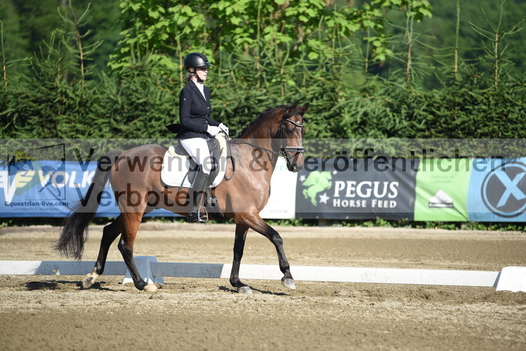 DSC_7157 | equestrian-live-com
