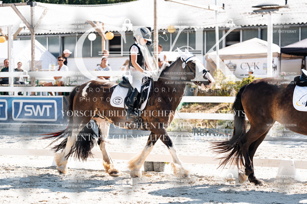 CK902972 | Turnierfotografie Pferdefotografie Trier Rheinland-Pfalz Pferdesport Reitsport Tierfotografie Sportfotografie Pferdevideo Pferdevideografie Equestrianvideography equestrianphotography  - Realisiert mit Pictrs.com