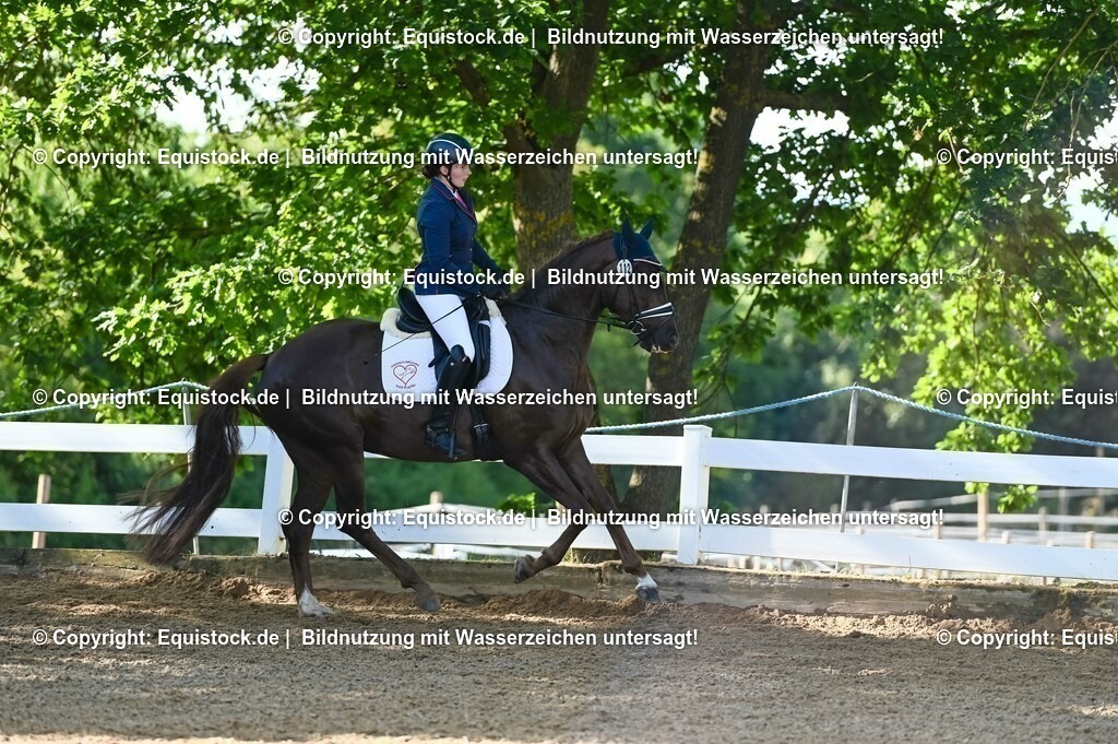 20230715_06_Dressurpferdeprfg. Kl.A_0141 | equistock