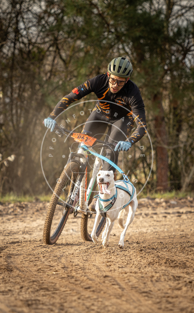 Pfotenfotografie_DV3A7270 | Hundefotografie, Tierfotograf, Pfotenfotografie, Fotoshooting Hund, Hunde Portrait, Hundesport, Hundeportraits, Heideshooting, Hunde, Sportfotograf, Hundefotograf, Turnierhundsport, THS,  - Realisiert mit Pictrs.com