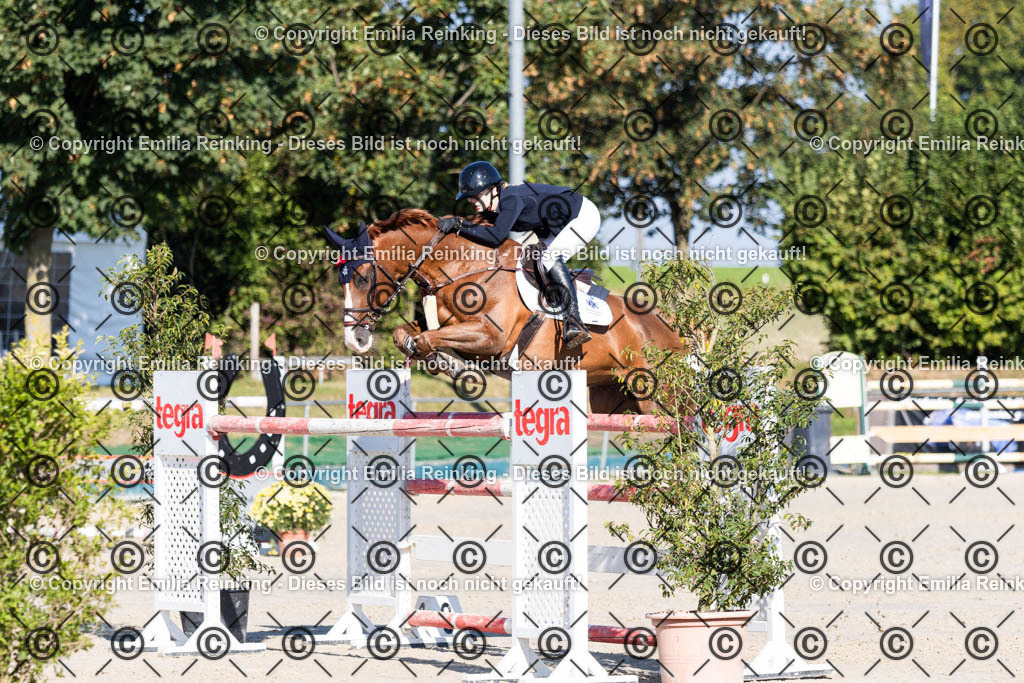 CL5A9671 | Emilia Reinking Fotografie - Realisiert mit Pictrs.com