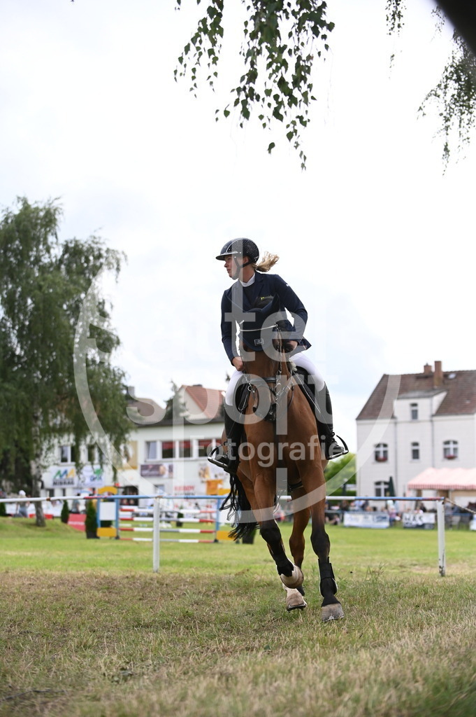 DSC_2831 | sattelsport - Realisiert mit Pictrs.com