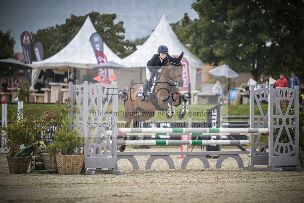 DOS_0040 | Entdecke hochwertige Reitturnierfotos von Foto Oger. Professionell, emotional und authentisch – jetzt Lieblingsmomente im Shop bestellen.Deutschlandweite Turnierfotografie. - Realisiert mit Pictrs.com