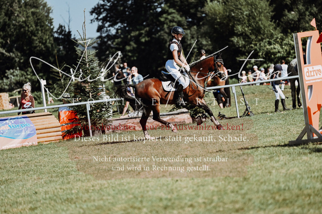 DSC_6821 | Pferde- und Turnierfotografie in Westsachsen. Pferdeportraits, Auftragszeichnungen und intuitive Kunst.