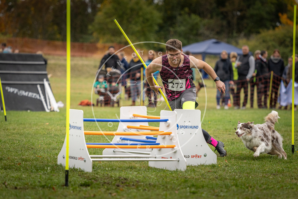 Pfotenfotografie_DV3A9778 | Hundefotografie, Tierfotograf, Pfotenfotografie, Fotoshooting Hund, Hunde Portrait, Hundesport, Hundeportraits, Heideshooting, Hunde, Sportfotograf, Hundefotograf, Turnierhundsport, THS,  - Realisiert mit Pictrs.com