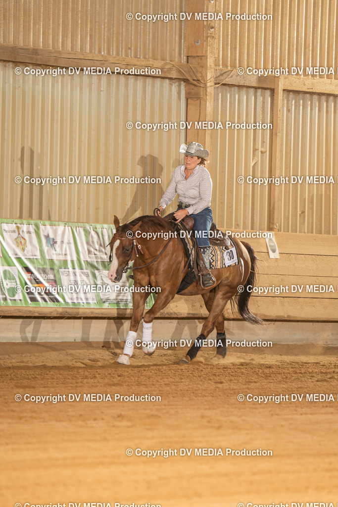 NID02264 | dv-media-shop - Realisiert mit Pictrs.com