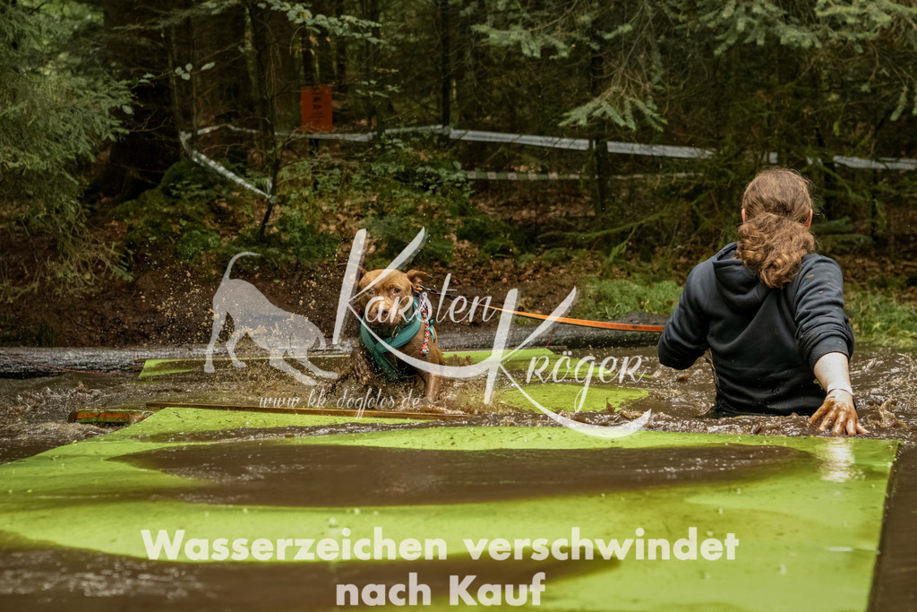 1220_ZZ93993-Bearbeitet | kk-dogfotos