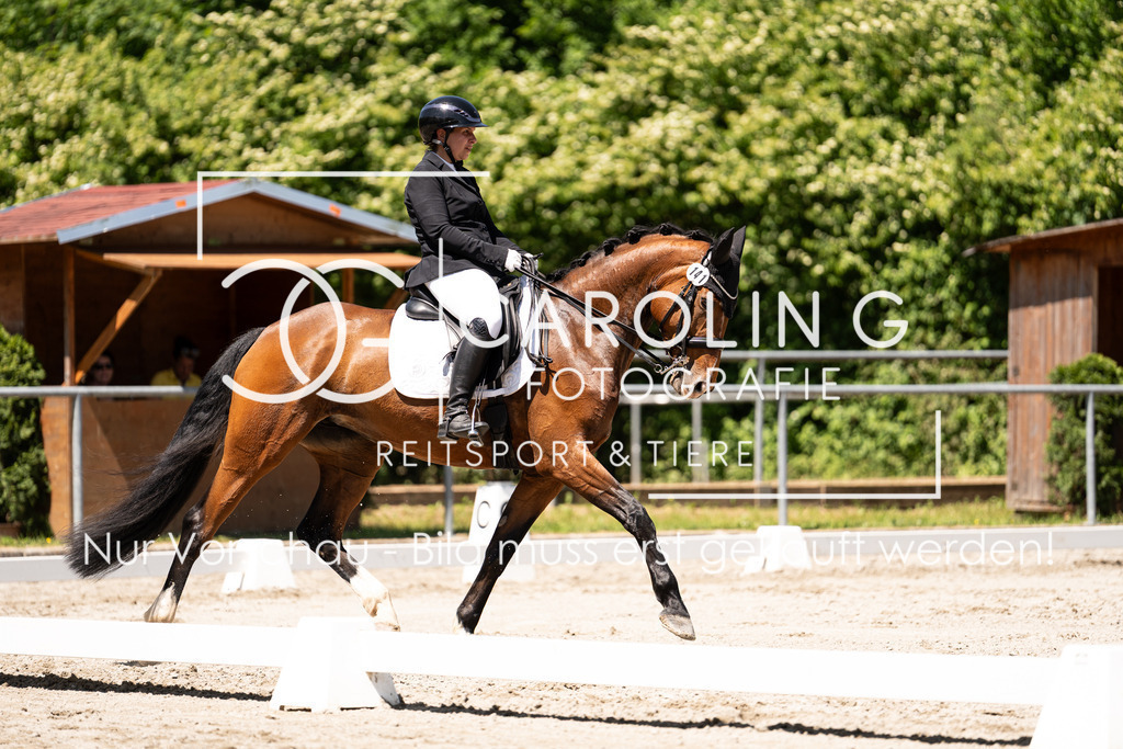 DSC00276 | Carolin Gieschke