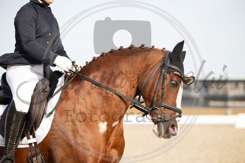 994A1225 | sabrinanicolaifotografie - Realisiert mit Pictrs.com