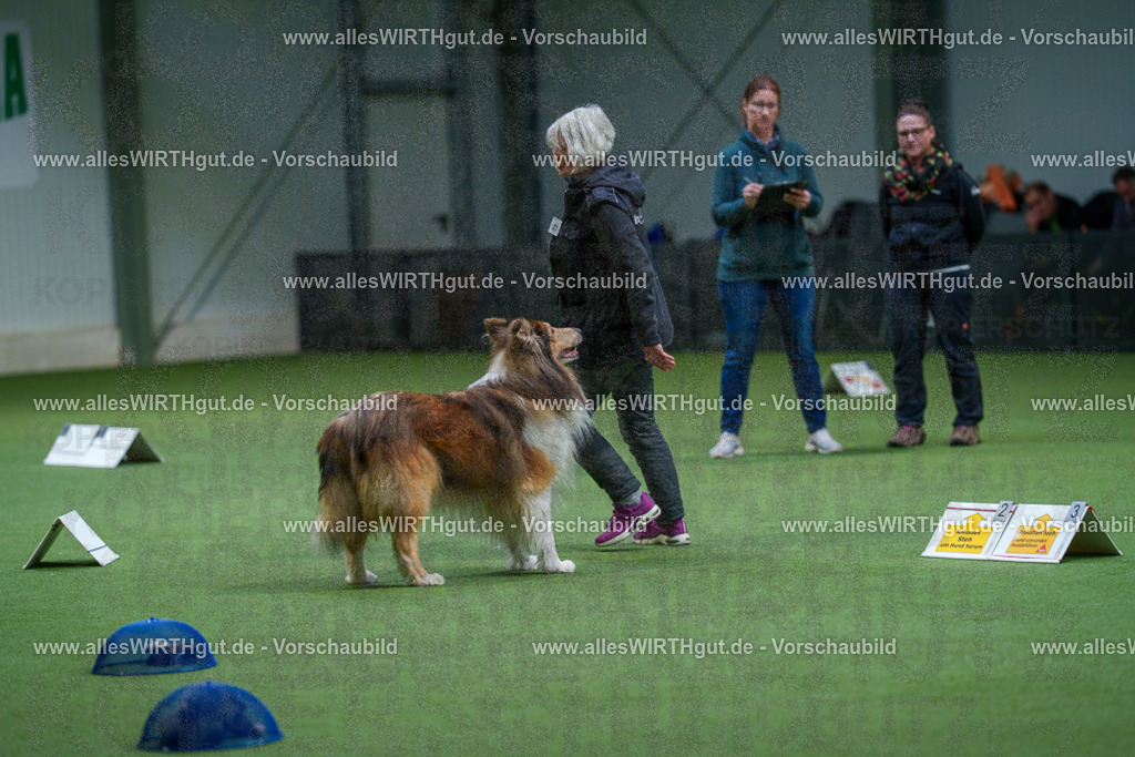 7R506250 | Professionelle Tierfotografie in Mönchengladbach von Daniel Wirth (allesWIRTHgut). Liebevolle & natürliche Bilder von Hunden & Katzen für unvergessliche Erinnerungen.