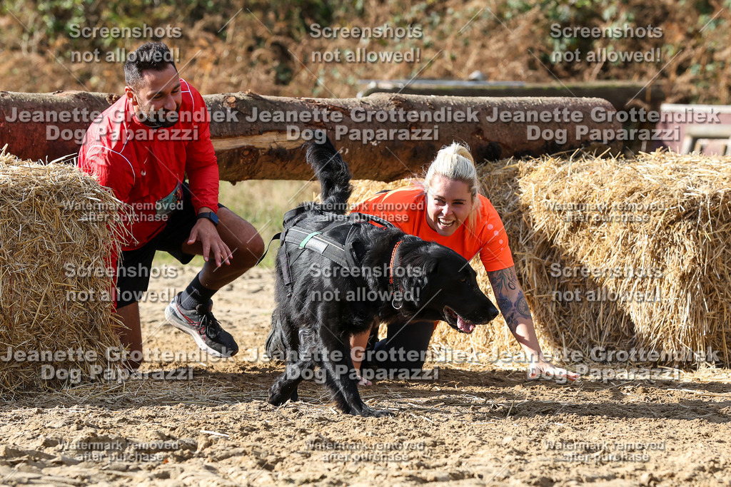 Dog Paparazzi - Strongdog 10-25-4956 | Dog Paparazzi Jeanette Grottendiek Fotografie & Videografie - Realisiert mit Pictrs.com