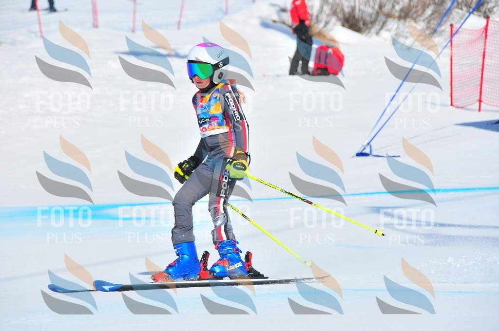 DSC_4449 | holidayphoto