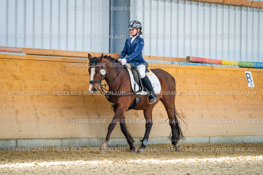 DSC02458 | Pferdegrafie