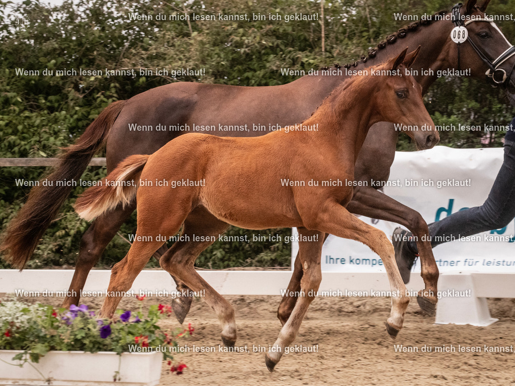 A10I6785 | photographylinaismer - Realisiert mit Pictrs.com