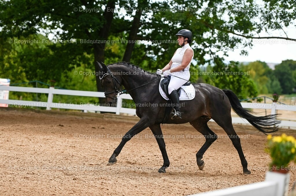 20230715_05_Dressurprüfung Kl.A++_0162 | equistock