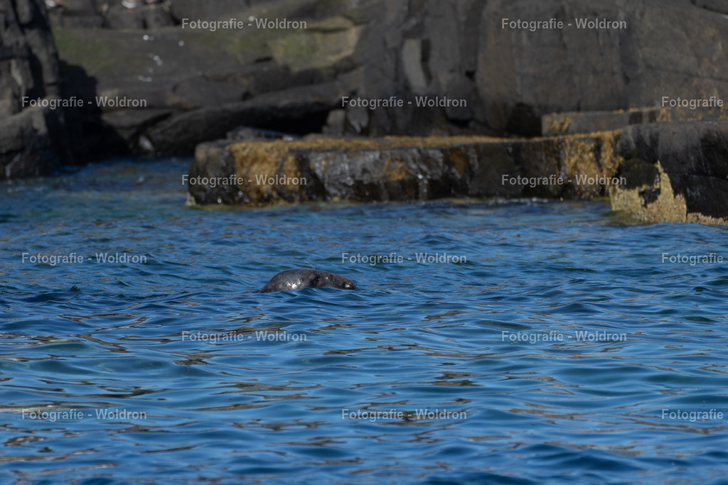 20230815 Isle of Sky - St.Andrews - Dundee-132 | Fotografie Woldron