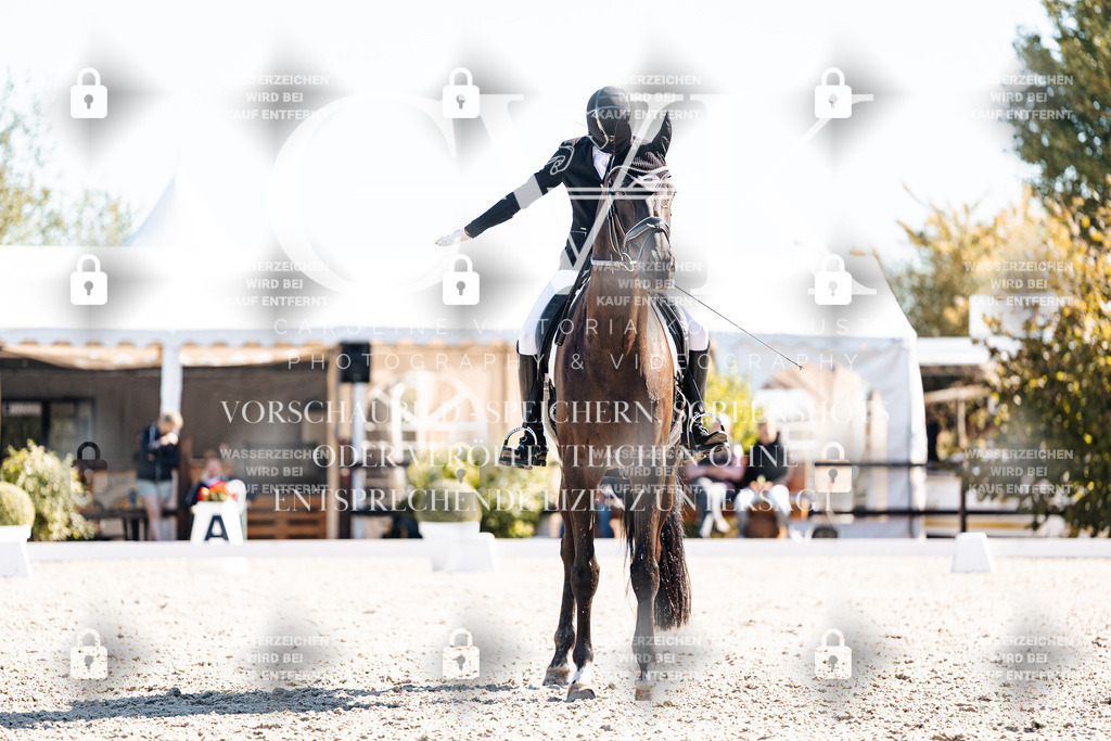 CK908940 | Turnierfotografie Pferdefotografie Trier Rheinland-Pfalz Pferdesport Reitsport Tierfotografie Sportfotografie Pferdevideo Pferdevideografie Equestrianvideography equestrianphotography  - Realisiert mit Pictrs.com
