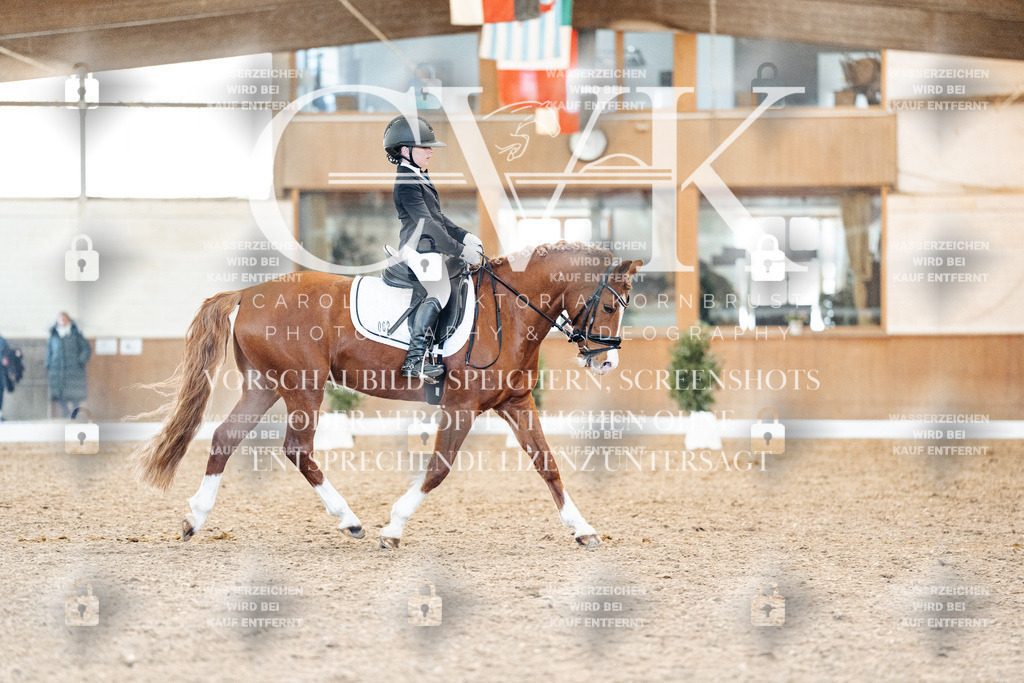 CK908182 | Turnierfotografie Pferdefotografie Trier Rheinland-Pfalz Pferdesport Reitsport Tierfotografie Sportfotografie Pferdevideo Pferdevideografie Equestrianvideography equestrianphotography  - Realisiert mit Pictrs.com