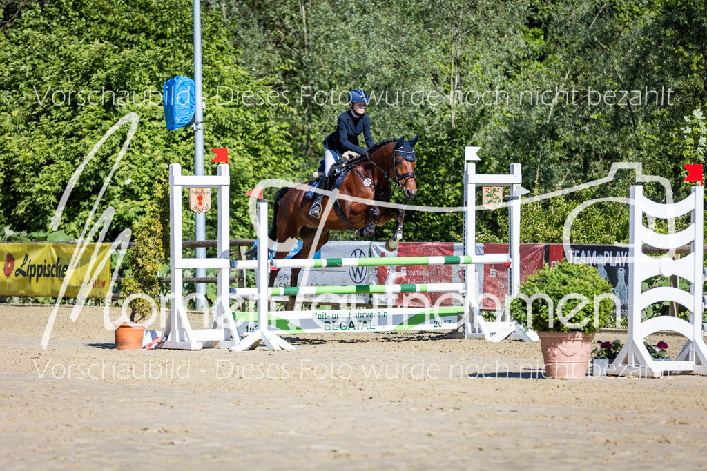 Donop24-A2Spr-033 | MomenTaufnahmen Pferdesportfotos