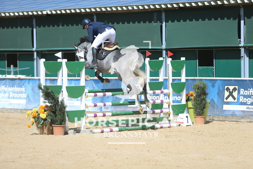 DL2Q9567 | Willkommen bei Brunnmayr - Design & Fotografie – Ihrem Spezialisten für Reitturniere und Pferdeveranstaltungen in Oberösterreich, Salzburg und Bayern! Seit über 17 Jahren sind wir leidenschaftlich dabei.