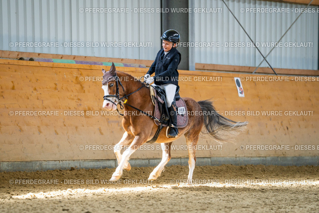 DSC03005 | Pferdegrafie