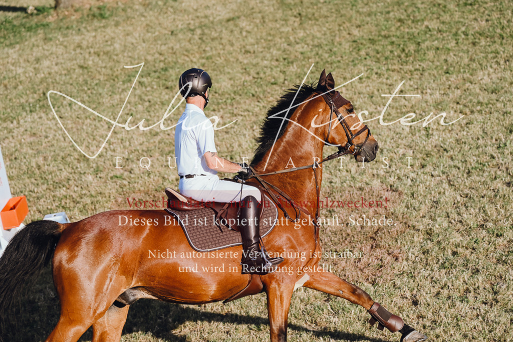 DSC_3264 | Pferde- und Turnierfotografie in Westsachsen. Pferdeportraits, Auftragszeichnungen und intuitive Kunst.